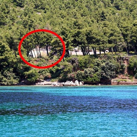 Apartments By The Sea Zuljana, Peljesac - 10233 Екстер'єр фото